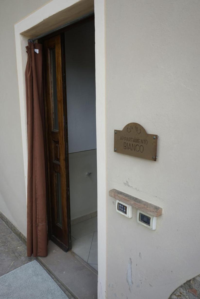 Agriturismo Signorini Orciatico Екстериор снимка