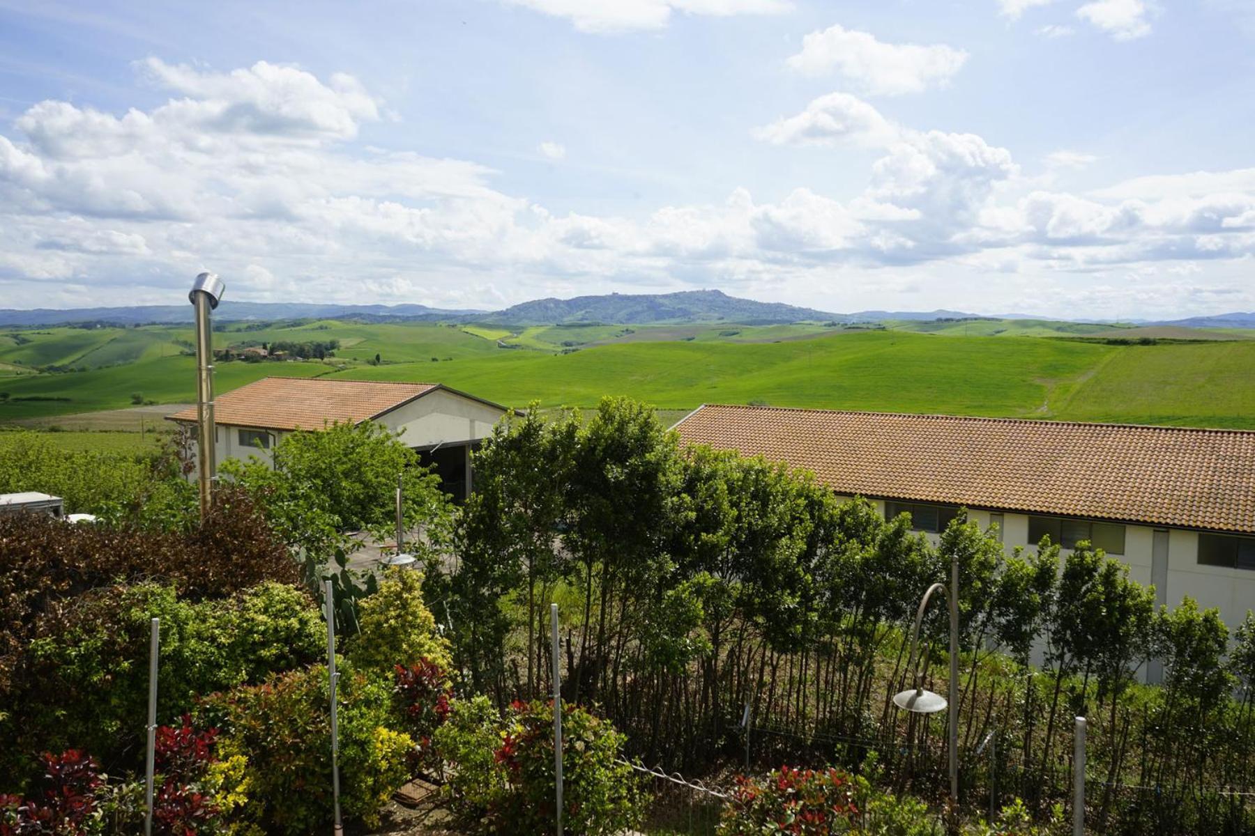 Agriturismo Signorini Orciatico Екстериор снимка