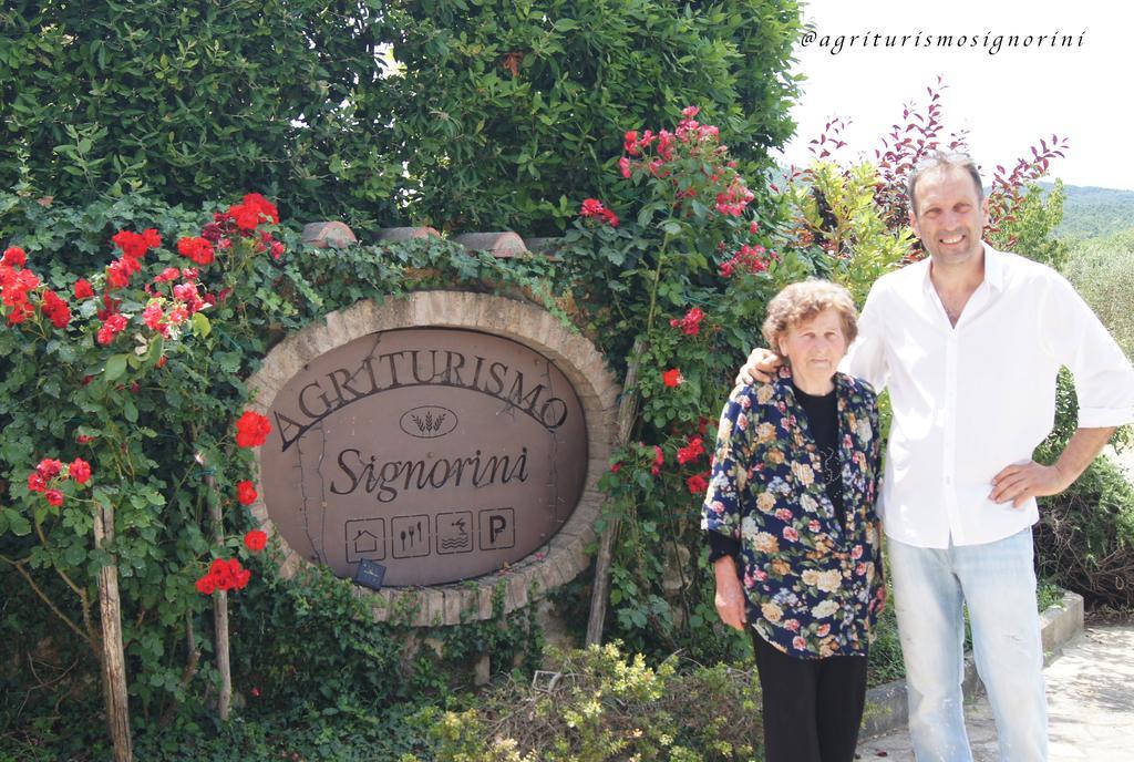 Agriturismo Signorini Orciatico Екстериор снимка