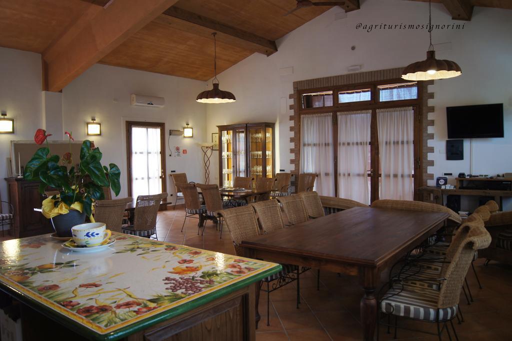 Agriturismo Signorini Orciatico Екстериор снимка