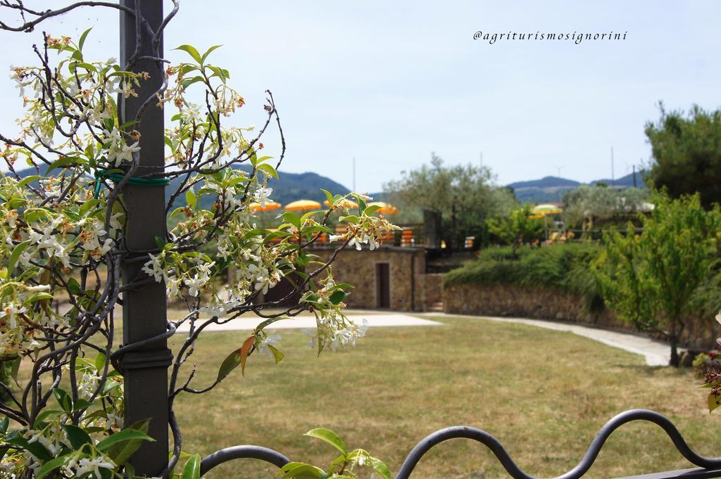 Agriturismo Signorini Orciatico Екстериор снимка