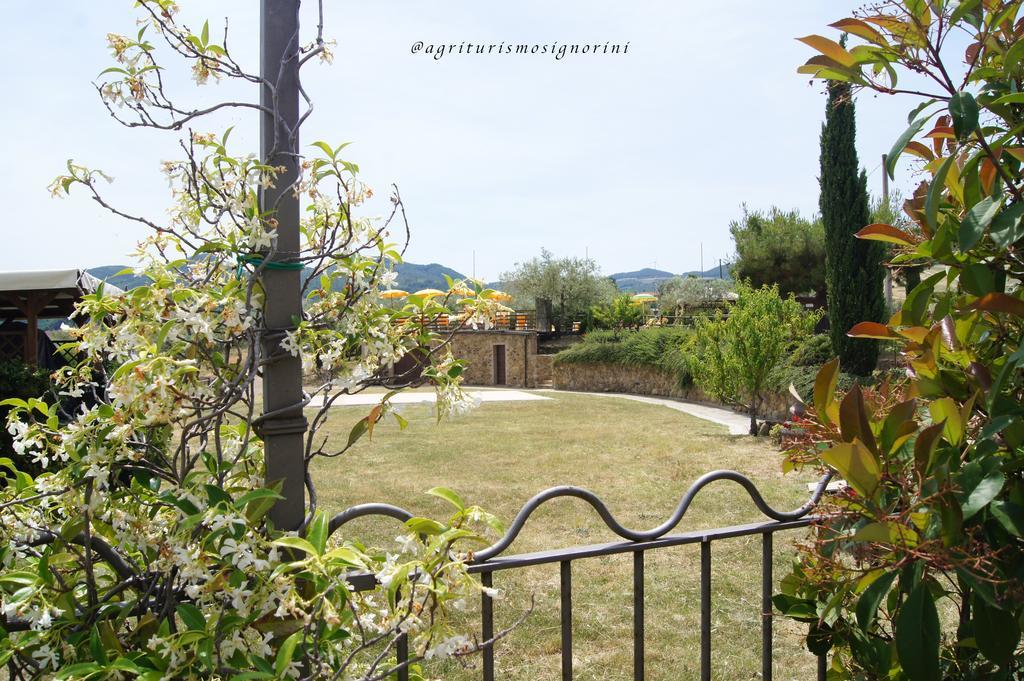 Agriturismo Signorini Orciatico Екстериор снимка