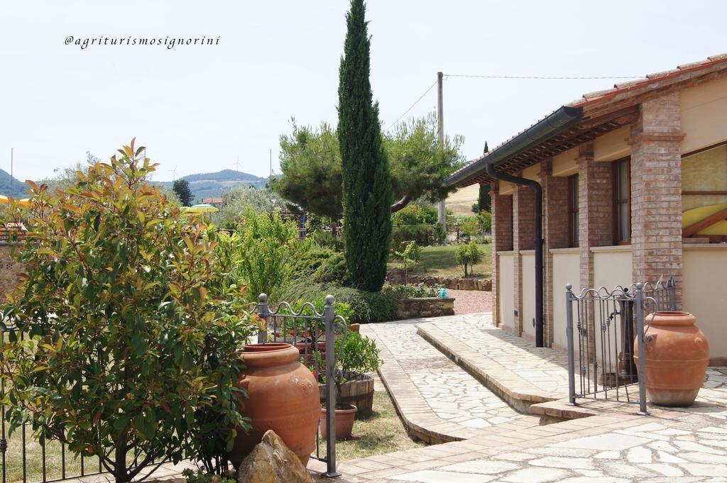 Agriturismo Signorini Orciatico Екстериор снимка