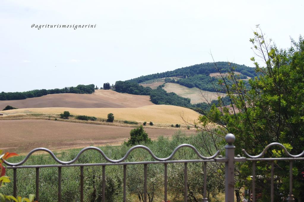Agriturismo Signorini Orciatico Екстериор снимка