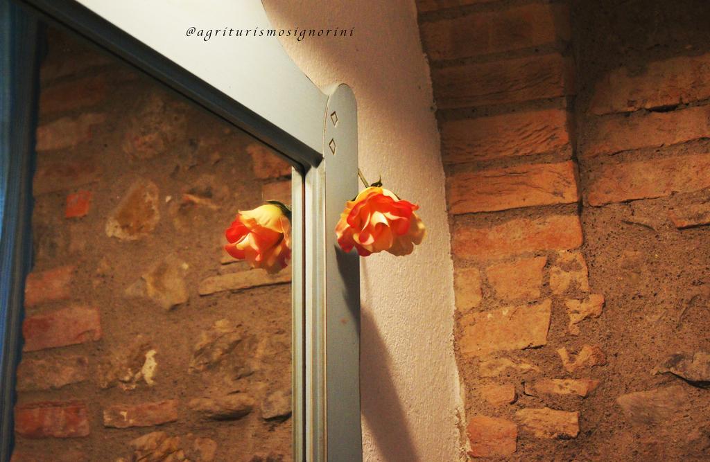 Agriturismo Signorini Orciatico Екстериор снимка