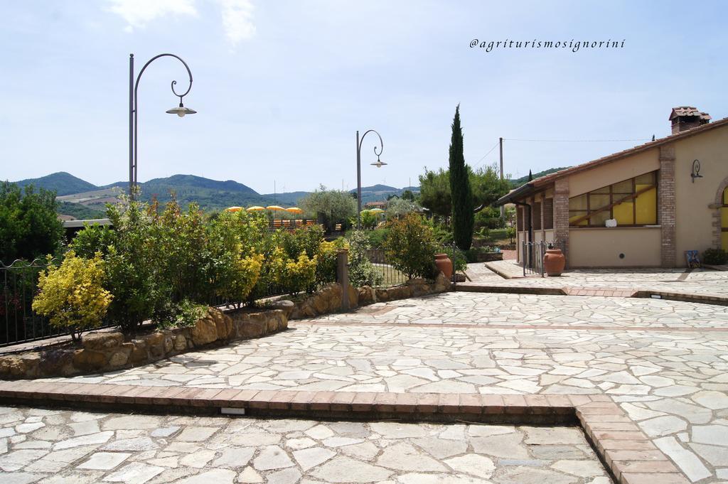 Agriturismo Signorini Orciatico Екстериор снимка