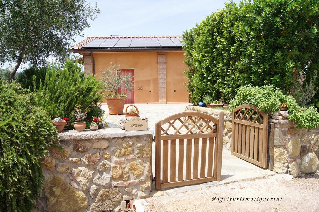 Agriturismo Signorini Orciatico Екстериор снимка