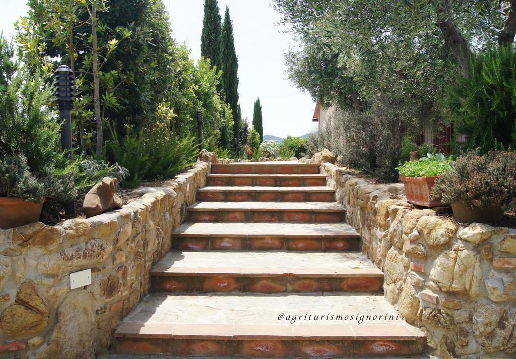 Agriturismo Signorini Orciatico Екстериор снимка