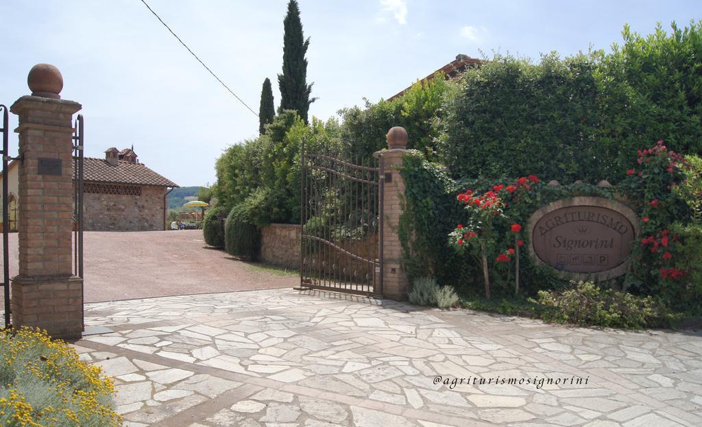 Agriturismo Signorini Orciatico Екстериор снимка