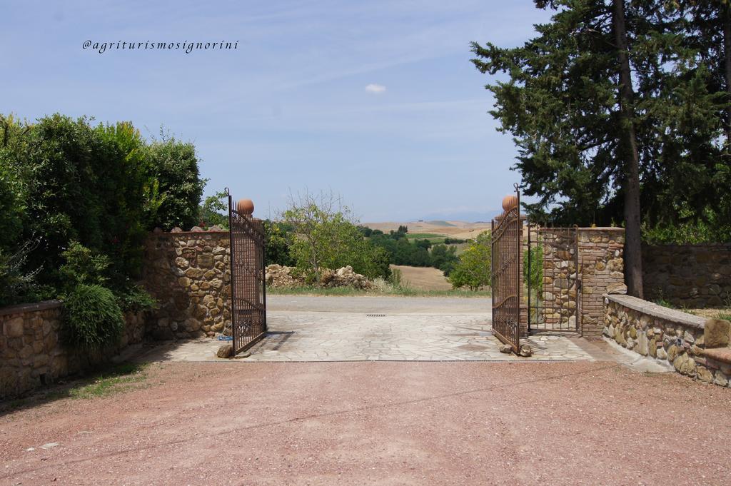 Agriturismo Signorini Orciatico Екстериор снимка