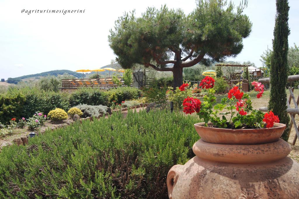 Agriturismo Signorini Orciatico Екстериор снимка