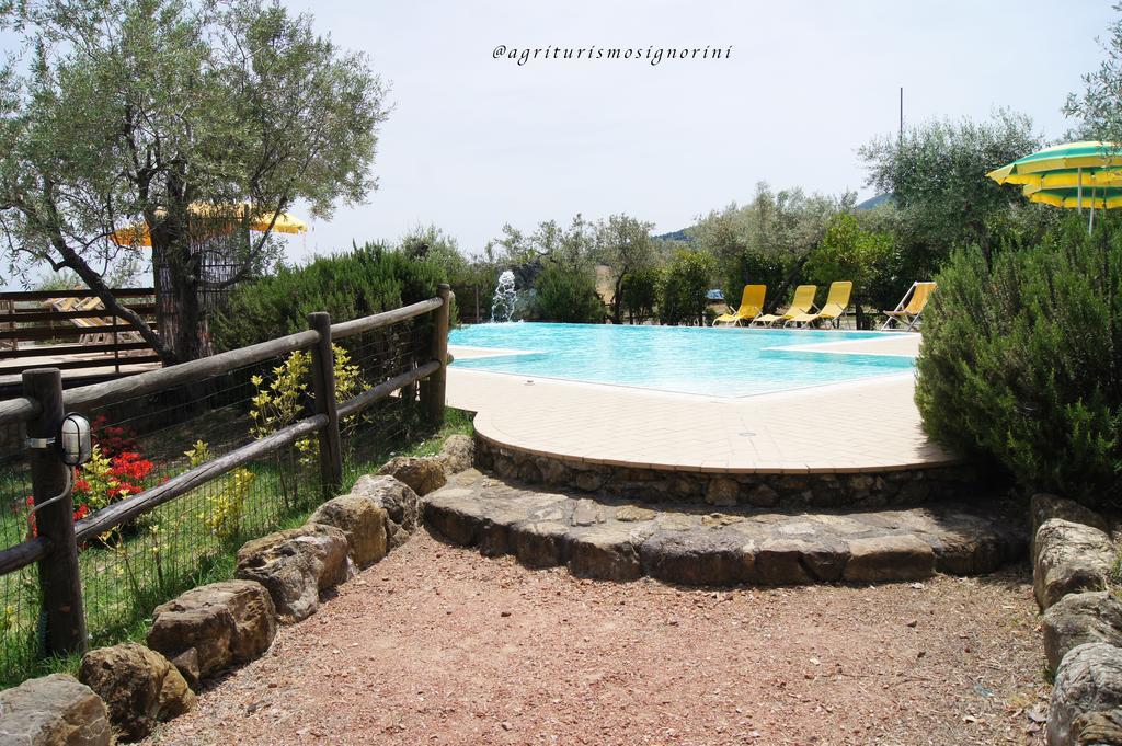 Agriturismo Signorini Orciatico Екстериор снимка
