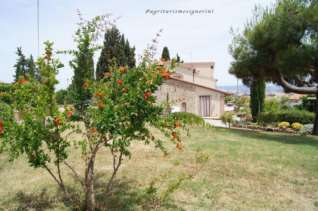 Agriturismo Signorini Orciatico Екстериор снимка