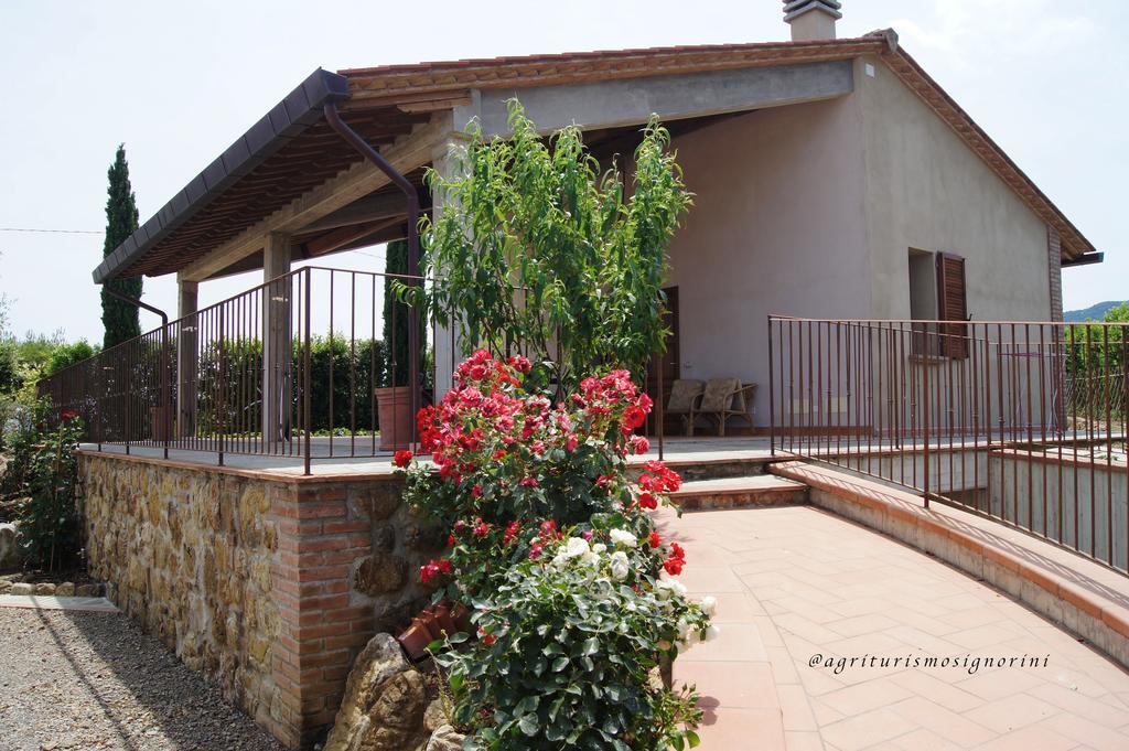 Agriturismo Signorini Orciatico Екстериор снимка