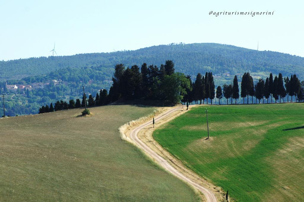 Agriturismo Signorini Orciatico Екстериор снимка