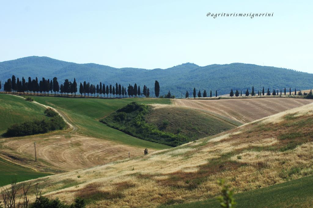 Agriturismo Signorini Orciatico Екстериор снимка