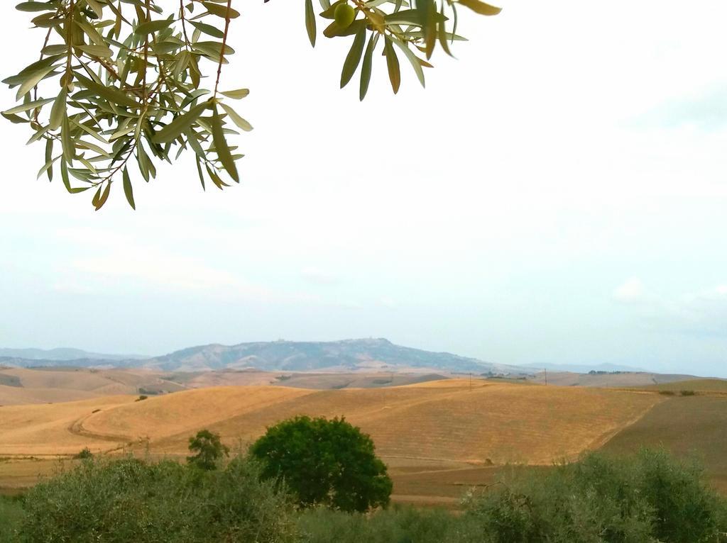 Agriturismo Signorini Orciatico Екстериор снимка