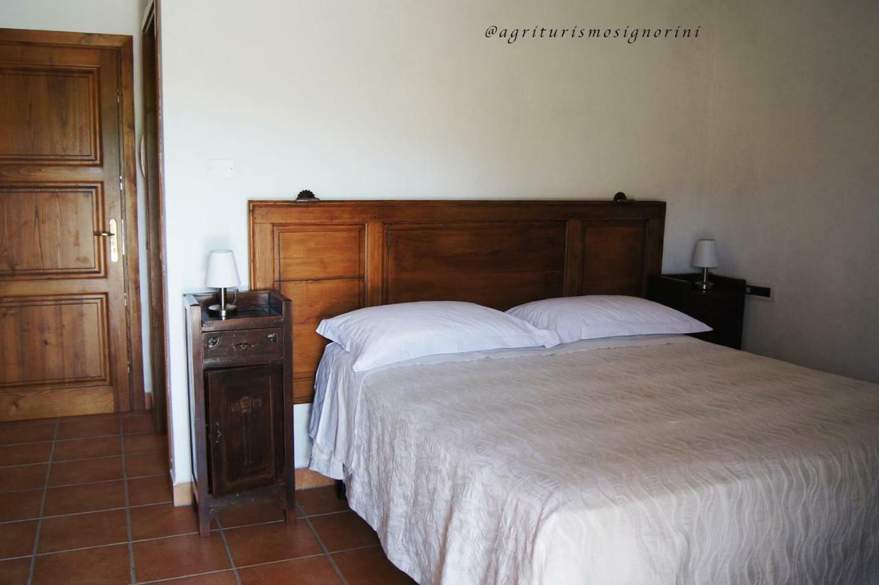 Agriturismo Signorini Orciatico Екстериор снимка